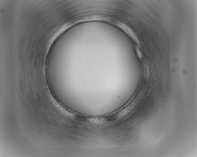 X0000072930805200608111534