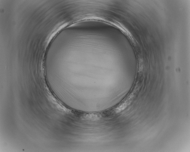 X0000072930806200608111534