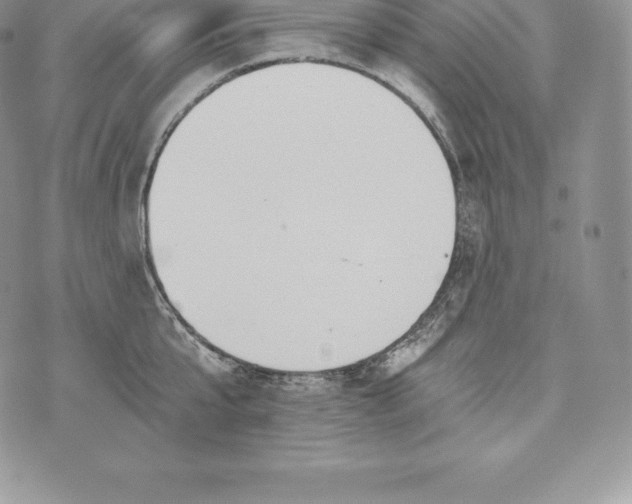 X0000072930807200608111534