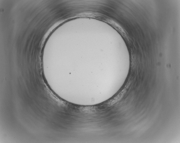 X0000072930808200608111534