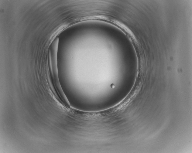 X0000072930809200608111534