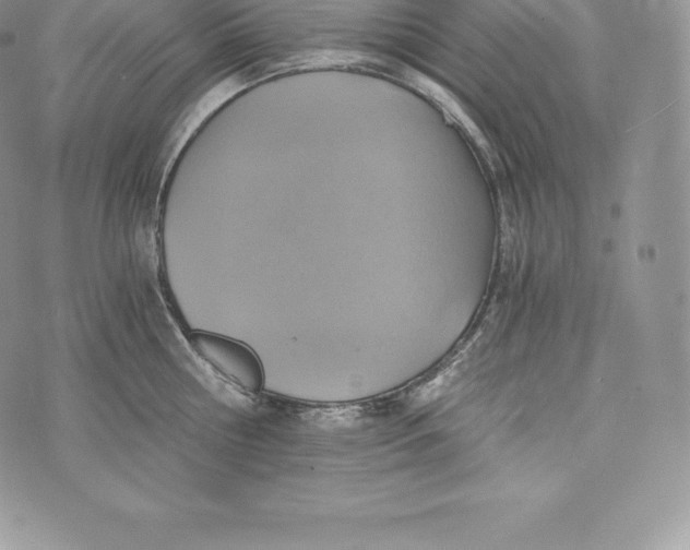 X0000072930810200608111534