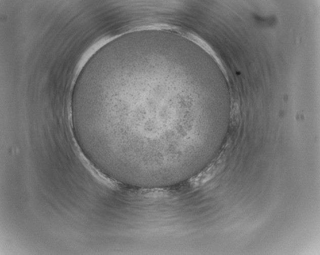 X0000072930811200608111534