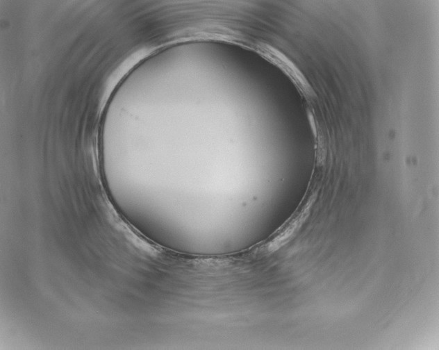 X0000072930812200608111534