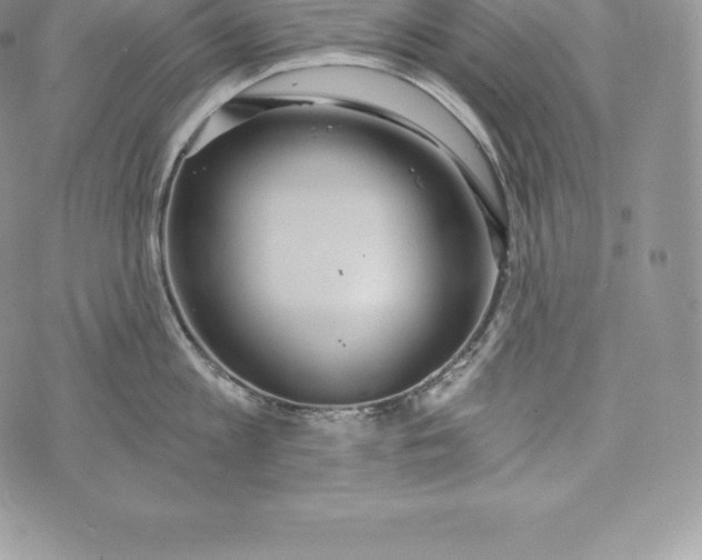 X0000072930813200608111534