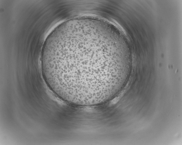 X0000072930814200608111534