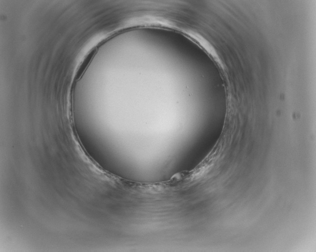 X0000072930815200608111534