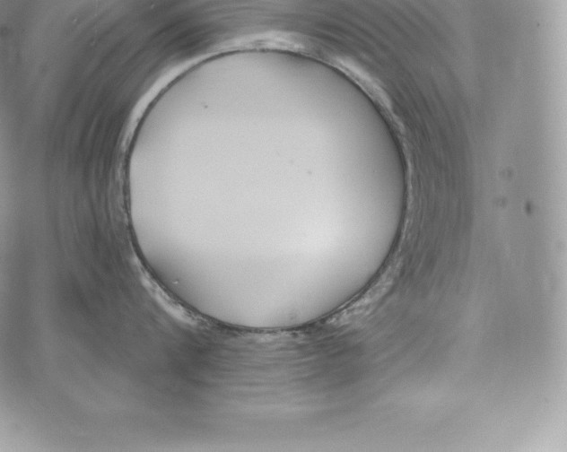 X0000072930816200608111534