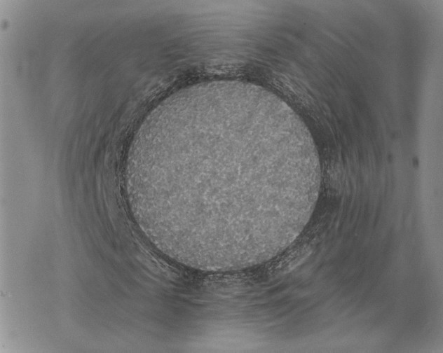 X0000072930817200608111533