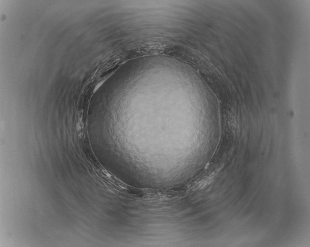 X0000072930818200608111533