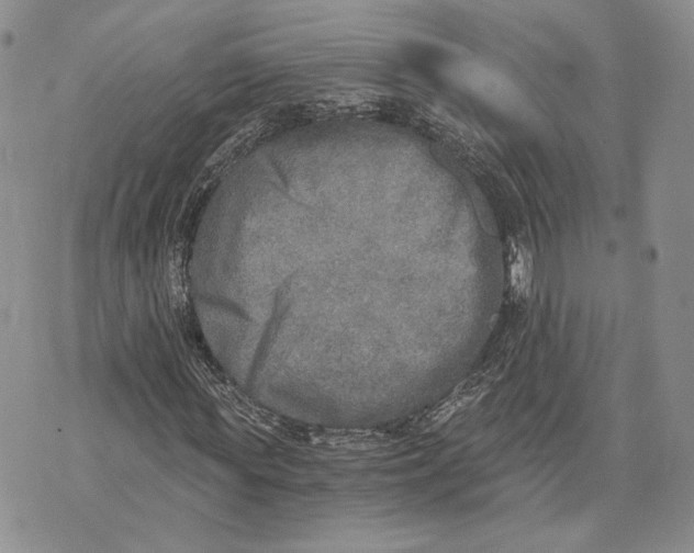 X0000072930819200608111533