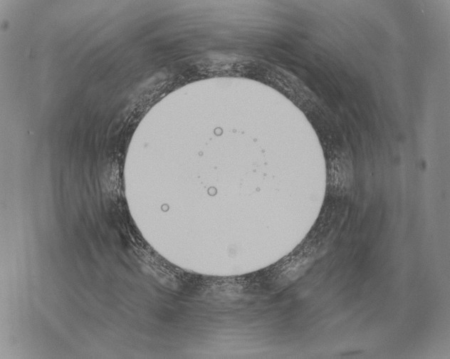 X0000072930820200608111533