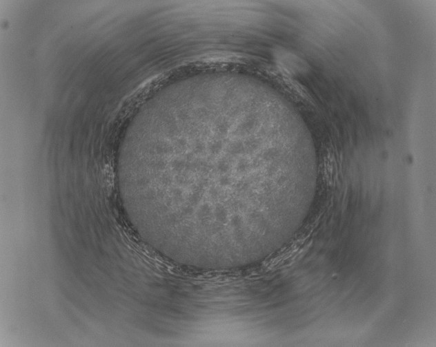 X0000072930821200608111533