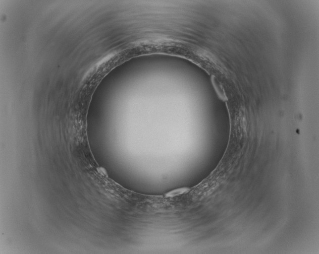 X0000072930822200608111533