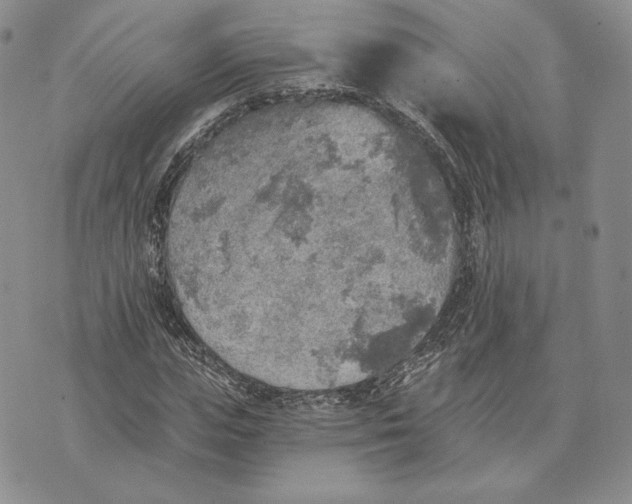 X0000072930823200608111533