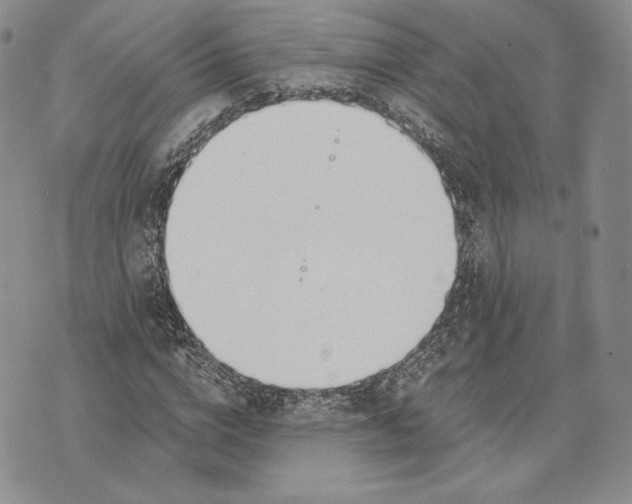 X0000072930824200608111533