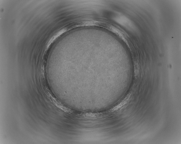 X0000072930827200608111533