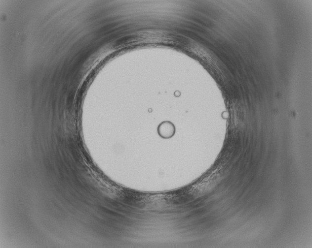 X0000072930828200608111533