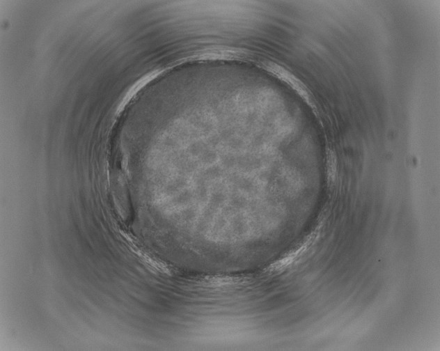 X0000072930829200608111533