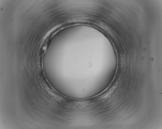 X0000072930830200608111533