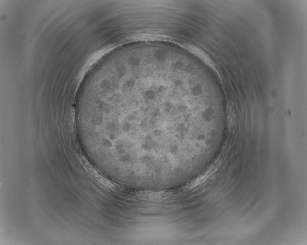 X0000072930831200608111533