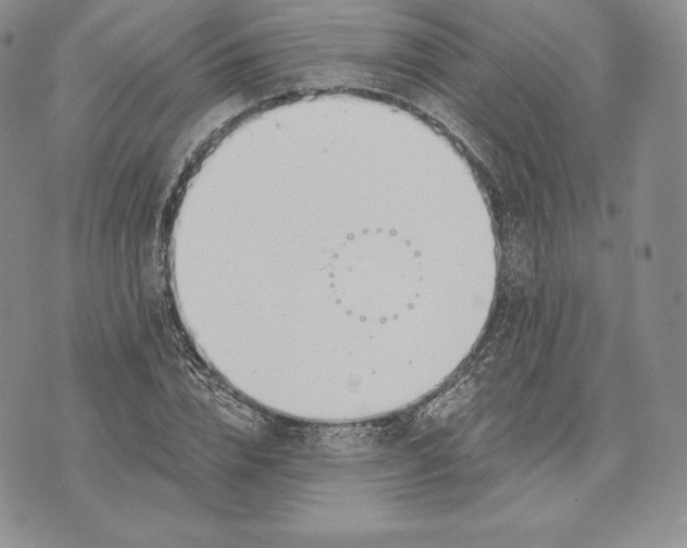 X0000072930832200608111533