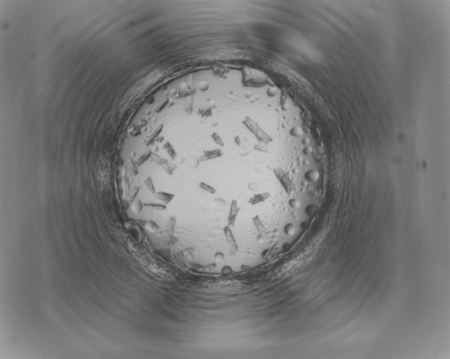 X0000072930833200608111533