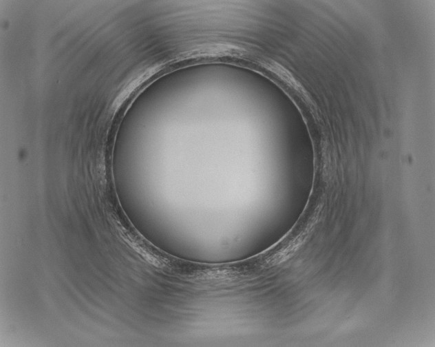 X0000072930834200608111533