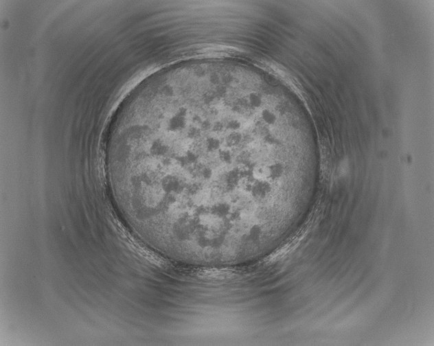 X0000072930835200608111533