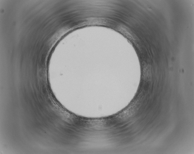 X0000072930836200608111533