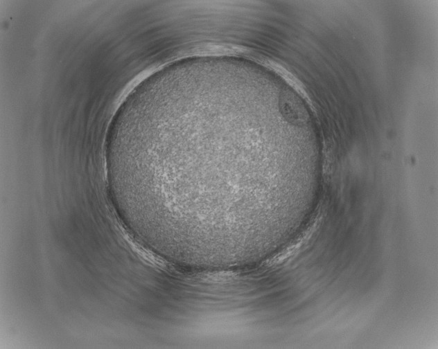 X0000072930837200608111533