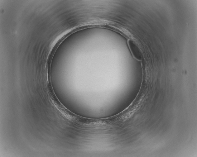 X0000072930838200608111533