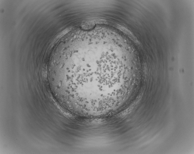 X0000072930841200608111533