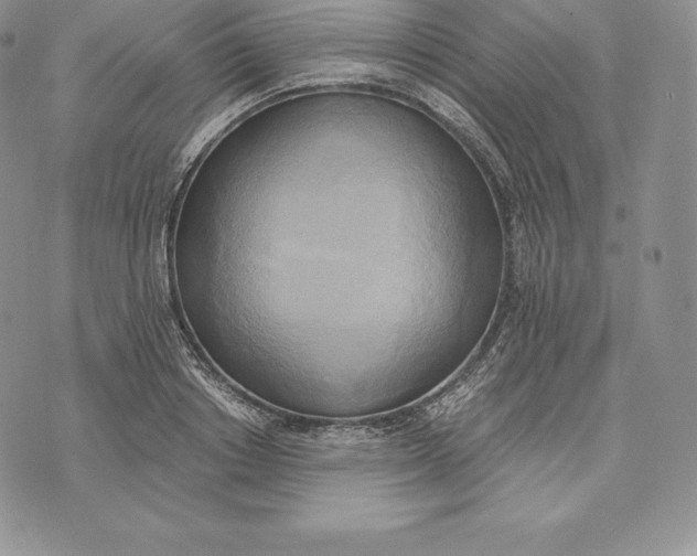 X0000072930842200608111533