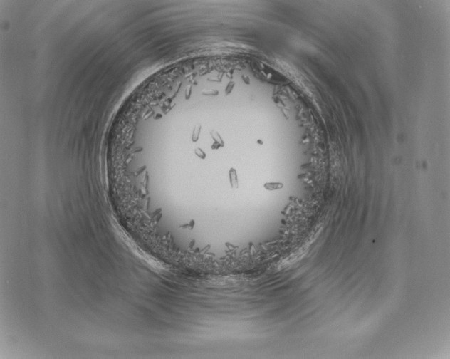 X0000072930843200608111533