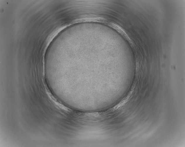 X0000072930844200608111533