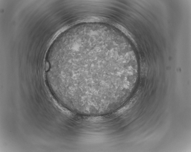 X0000072930845200608111533