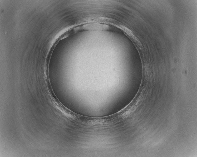 X0000072930846200608111533