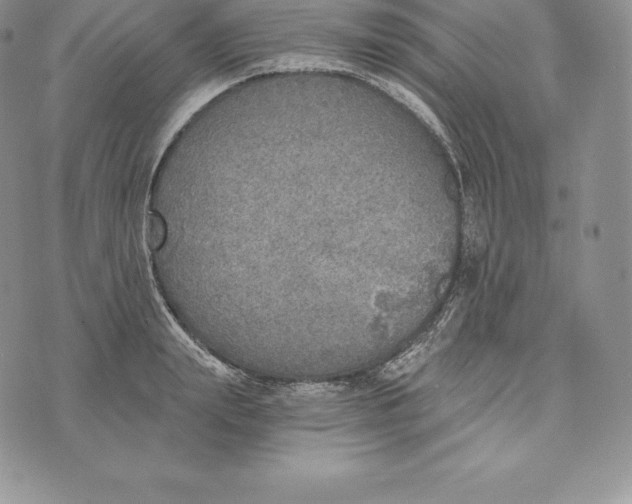 X0000072930847200608111533