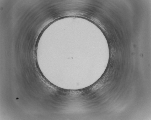 X0000072930848200608111533