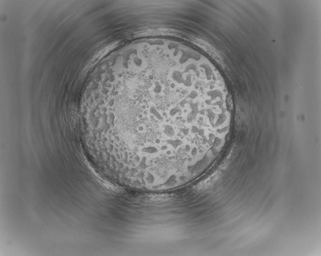 X0000072930849200608111533