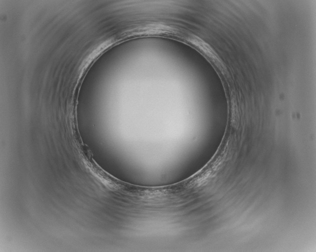 X0000072930850200608111533