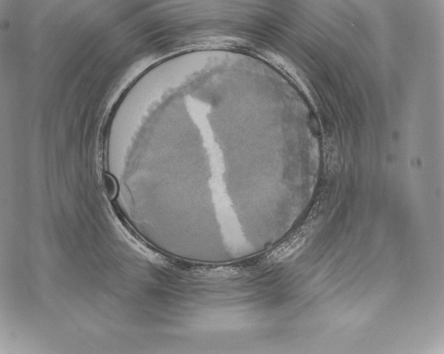 X0000072930851200608111533