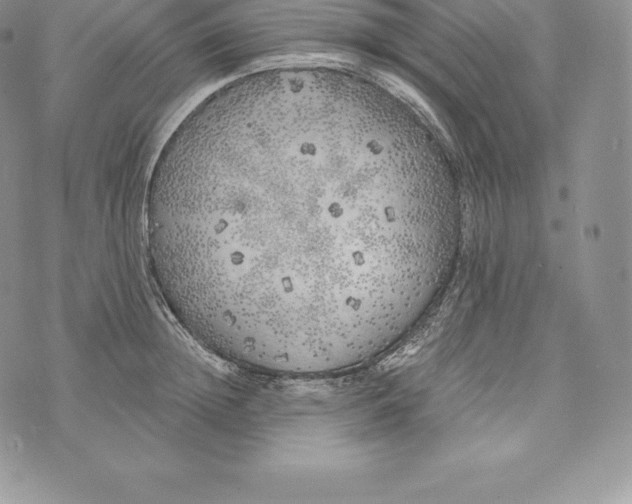 X0000072930852200608111533