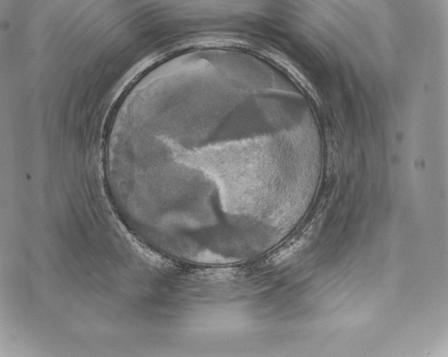 X0000072930853200608111533