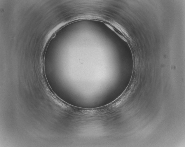 X0000072930854200608111533