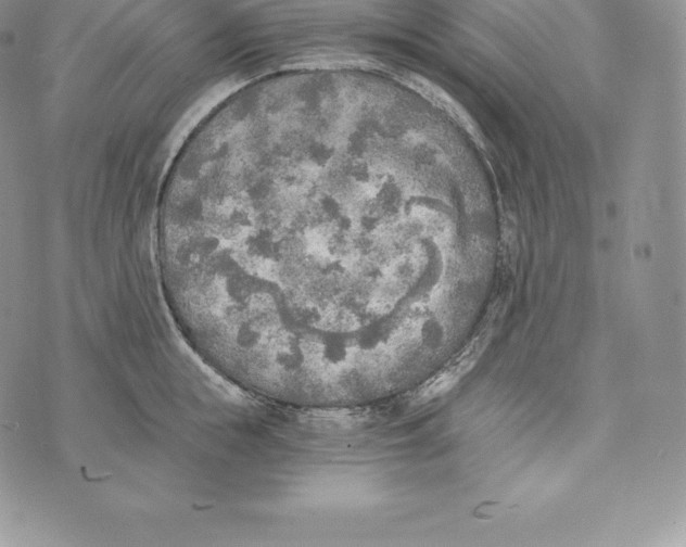 X0000072930855200608111533