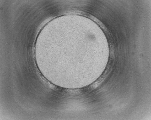 X0000072930856200608111533