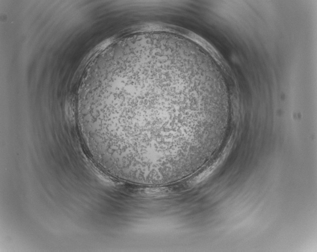 X0000072930857200608111533