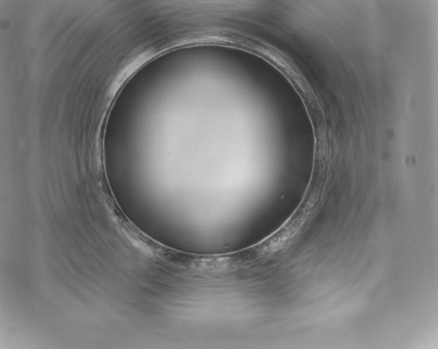 X0000072930858200608111533